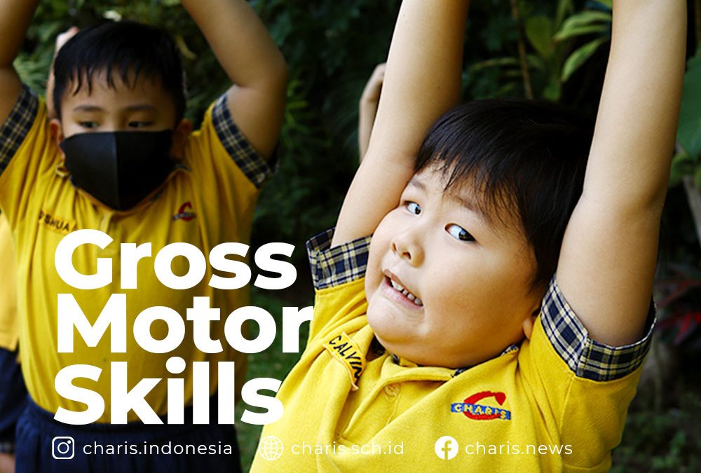 Gross motor skills